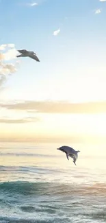 Dolphin leaping over ocean at sunrise with a seagull flying above.