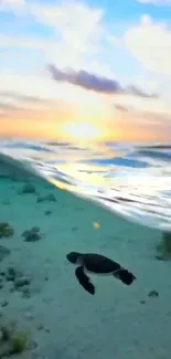 Ocean sunset with turtle swimming underwater, capturing serene beauty.