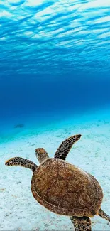 A turtle swimming underwater in a vibrant ocean scene.