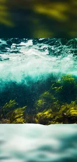 Ocean waves crashing over vibrant seaweed, teal and green hues.