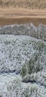 Aerial view of ocean waves crashing onto a sandy beach.