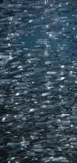 Swarm of small fish swimming in the ocean.