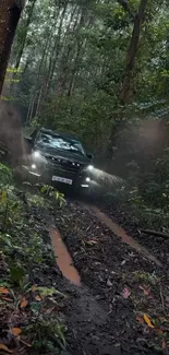 Car driving on a muddy forest trail with vibrant green surroundings.