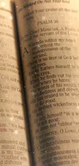 Open Bible illuminated by warm, soft light.