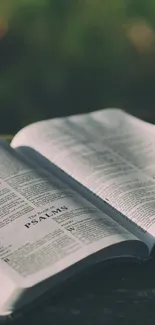 Open Bible on a table with a blurred green background.