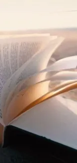 An open book on a peaceful sandy beach at sunset.