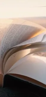 Open book with pages fluttering against a sunset beach background.