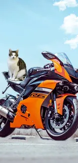 Orange motorcycle with a cat on top against a blue sky.
