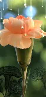 Orange carnation with glowing stars and green bokeh background.