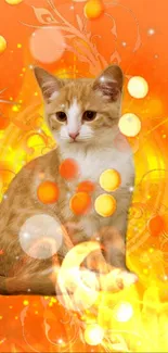 Orange cat with glowing lights on vibrant orange background.