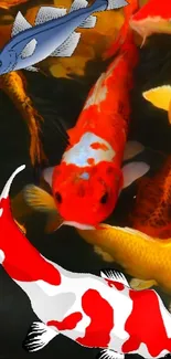 Orange Fish Koi Live Wallpaper