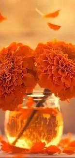 Orange marigold flowers in a glass vase with a warm, vibrant background.