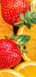 Orange Food Fruit Live Wallpaper