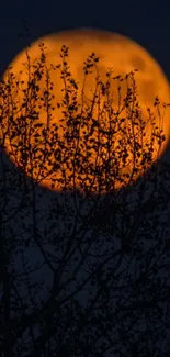 Orange moon behind dark silhouetted branches.