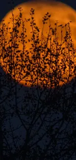 Orange moon behind tree branches at night.