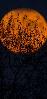 Orange moon behind silhouetted trees at night.