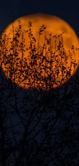 Orange moon with silhouetted tree branches at night.