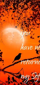 Orange moonlit sky with bird silhouette and text.