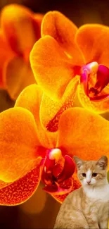 Vibrant orange orchid with a cute cat.