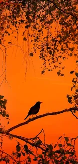 Silhouette of a bird on a branch against an orange sunset sky.