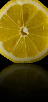 Orange Slice Fruit Live Wallpaper