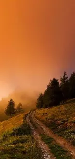 Orange sunset over a forest path with lush greenery.