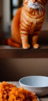 Orange tabby cat watching food bowl on table.