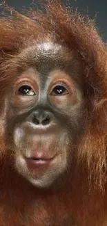 Realistic orangutan portrait wallpaper for mobile.