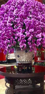 Vibrant purple orchids in an elegant indoor setting.