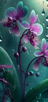 Purple orchids with raindrops on a teal background for phone wallpaper.