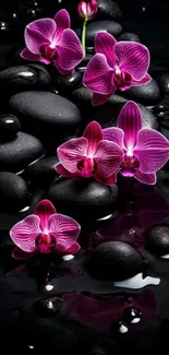 Vibrant orchids on smooth black stones in serene mobile wallpaper.