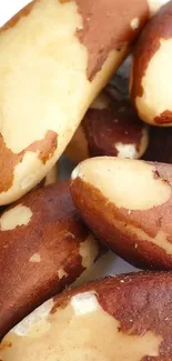 Close-up view of organic Brazil nuts, showcasing natural texture and color.