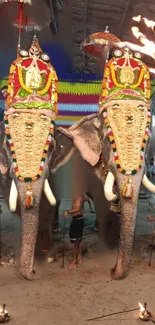 Two ornately decorated elephants at an Indian festival.