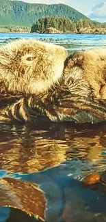 Two otters floating peacefully in a scenic water landscape.