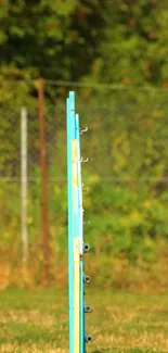 Vertical post in a peaceful green field.