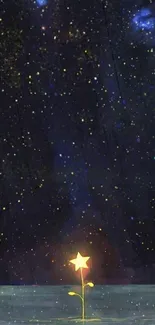 Outdoor Night Astronomy Live Wallpaper