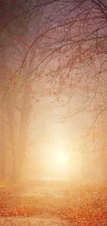 Outdoor Tree Fog Live Wallpaper