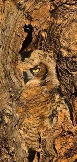 Camouflaged owl in tree bark mobile wallpaper.