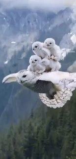 Owl carrying owlets in tranquil mountain flight.