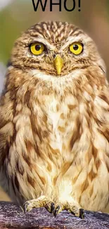 Close-up of owl perched on a branch, surrounded by nature.