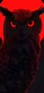 Owl silhouette against a glowing red moon, creating a striking mobile wallpaper.