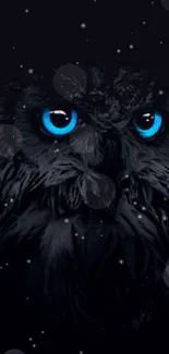 Mysterious owl with striking blue eyes on a dark background.