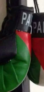 Boxing gloves with Palestinian flag design.