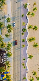 Aerial view of coastal road with palm trees.