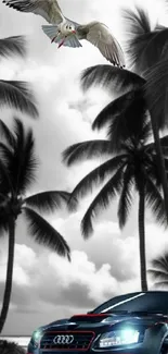 Luxury car with seagull by palm trees in black and white.