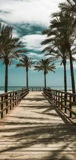 Boardwalk with palm trees leading to the beach under a blue sky.