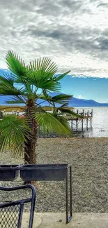 Palm tree and beach view under a wide blue sky.