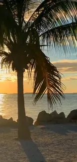 Palm tree silhouette against a vibrant sunset over a calm ocean on the beach.