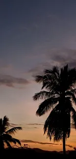 Silhouetted palm trees against a dusky sunset sky.