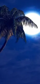 Palm tree silhouetted against a bright moon in a deep blue night sky.